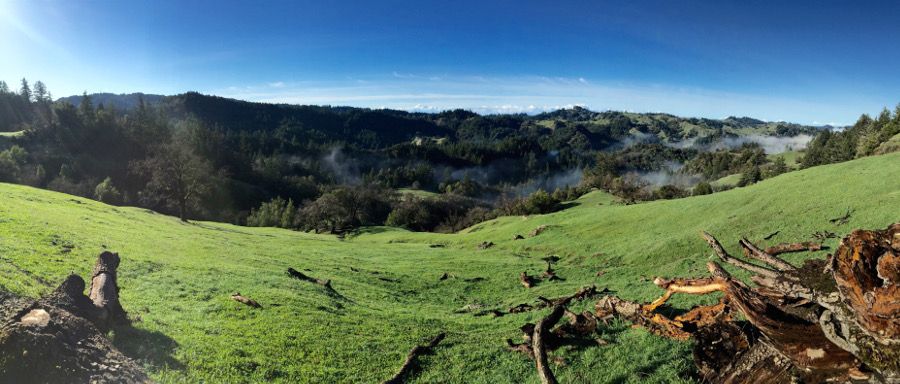 Hedgepeth Ranch