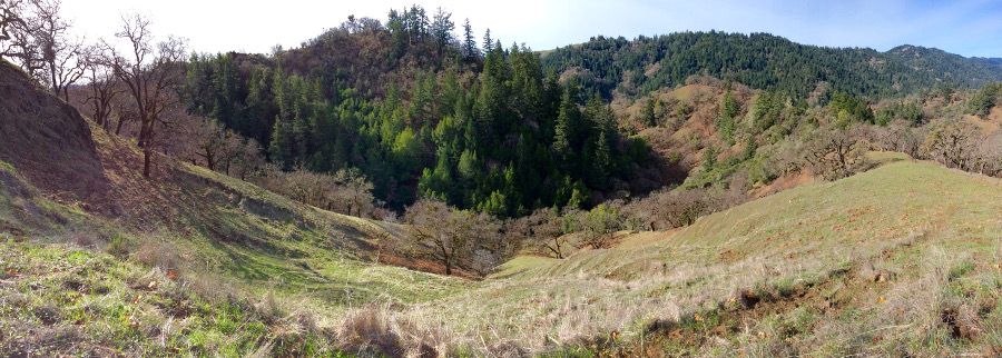 Hedgepeth Ranch