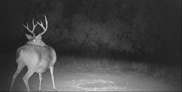 4x4 old pic 4x4 old pic