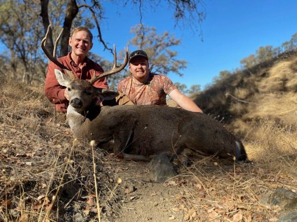 terrry morgan six point d terrry morgan six point d